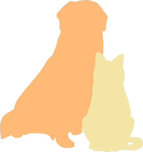 犬猫を家族に迎えている人