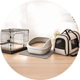 犬猫アイテムレンタル